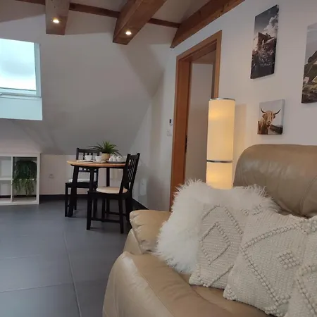 Appartement 1 Bedroom With King Bed, 2 Min To Rab Ramstein-Miesenbach