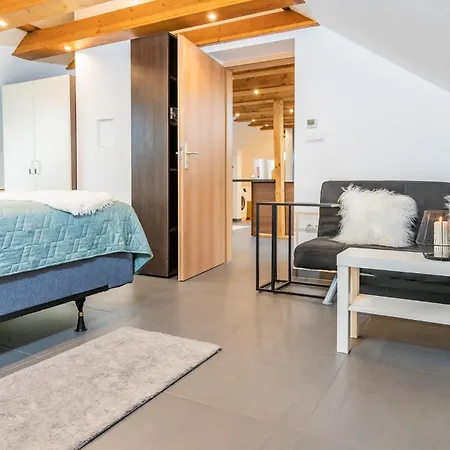 1 Bedroom With King Bed, 2 Min To Rab 拉姆斯泰因-米森巴赫