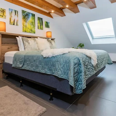 1 Bedroom With King Bed, 2 Min To Rab Ramstein-Miesenbach